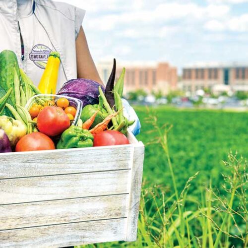 Hospital Farms Growing Across the Country